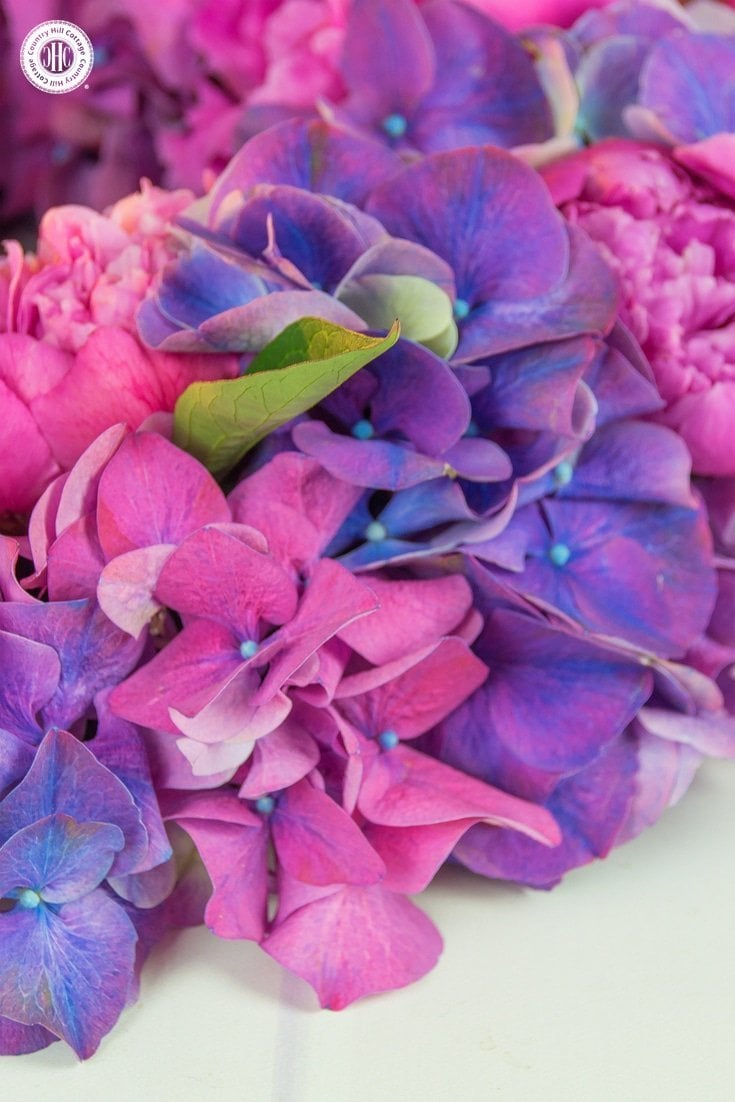 Learn how to create a beautiful peony hydrangea wreath in our easy to follow DIY! #howto #flowerarragning | countryhillcottage.com