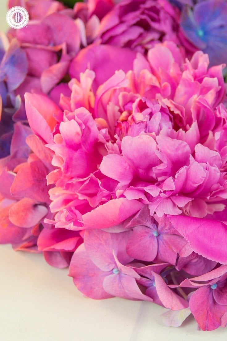 Learn how to create a beautiful peony hydrangea wreath in our easy to follow DIY! #howto #flowerarragning | countryhillcottage.com