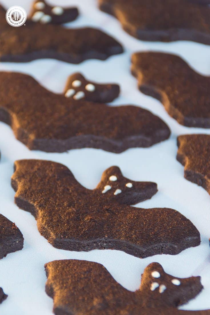 Make bad bat biscuits and cookie pops decorated with out free printable gift tags! #Halloween #cookies | countryhillcottage.com