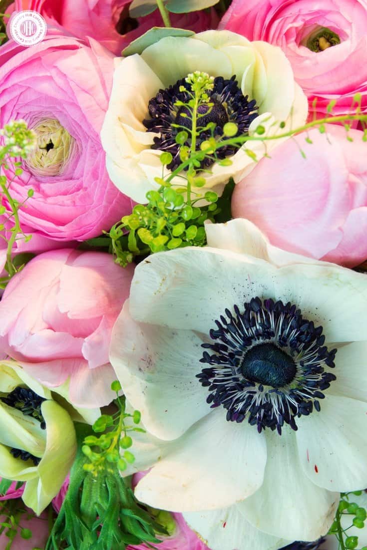 Learn to create a beautiful spring flower arrangement with ranunculus, anemones and tulips inspired by our Osterley at Park design. #flowerarranging #homedecor | countryhillcottage.com