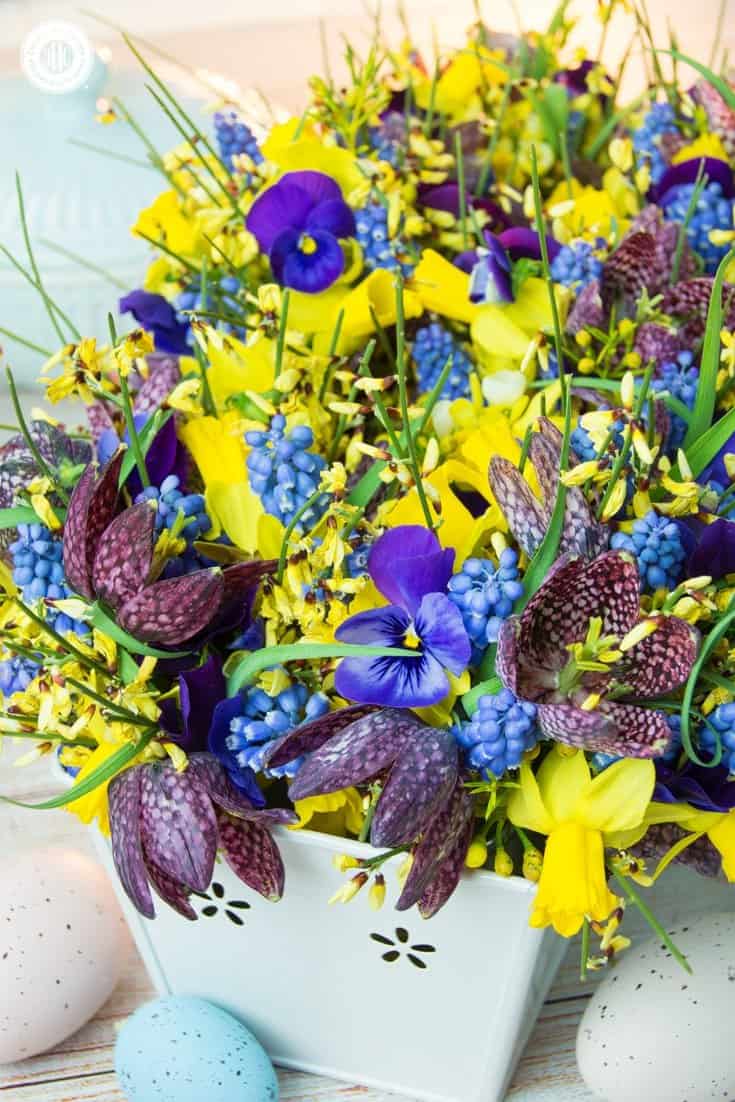 Celebrate Easter with a cute floral arrangement. Learn how to best combine flowers with soft, short stems and blooms that have long, firm stems. We also show 3 different ways to use and arrange the flowers. #easter # spring #flowerarranging | countryhillcottage.com Celebrate Easter with a cute floral arrangement. Learn how to best combine flowers with soft, short stems and blooms that have long, firm stems. We also show 3 different ways to use and arrange the flowers. #easter # spring #flowerarranging | countryhillcottage.com