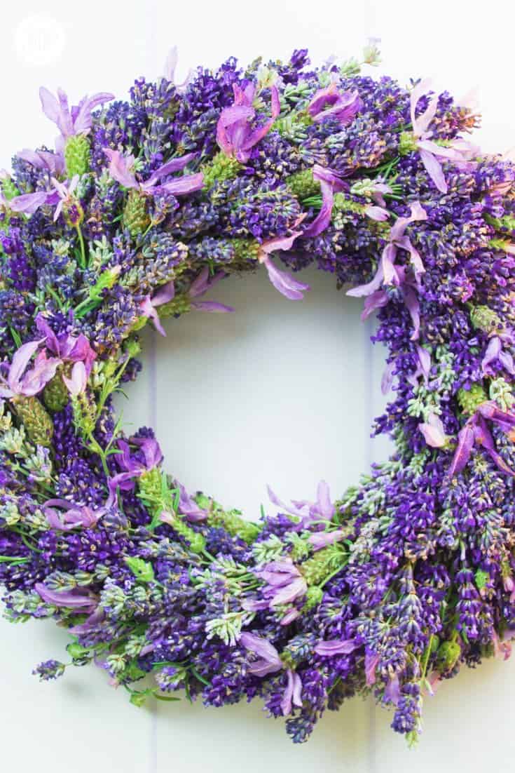 Add summer cheer to your front door and learn how to make a lush and fragrant lavender wreath. This wreath dries beautifully and lasts for months to come. We also share helpful tips for choosing the right type of lavender. | countryhillcottage.com