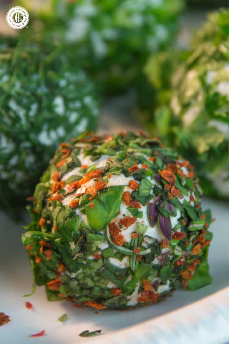 Start off a light summer meal or party with delicious herb-coated cheese balls. The foundation of this mouthwatering and quick-to-make appetiser is made with four different types of cheese that highlight the flavours of the fresh herbs, such as parsley, chives, dill and cress. #herbs #cheese #appetiser | countryhillcottage.com