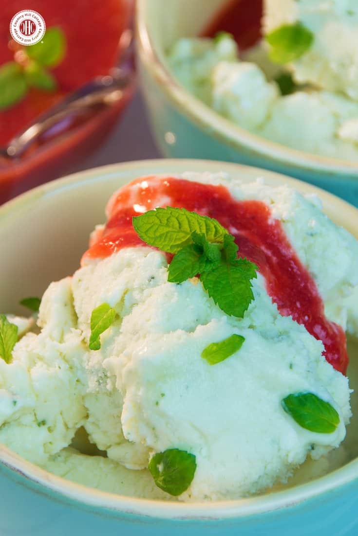 Enhance your dessert course with refreshing no-churn mint ice cream! Fresh mint leaves give this ice cream a rich minty aroma, and the best part is that you don't need an ice cream maker to prepare it. We love serving this ice cream with strawberry sauce and fresh mint leaves. #mint #nochurn #icecream | countryhillcottage.com