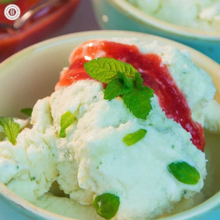 Enhance your dessert course with refreshing no-churn mint ice cream! Fresh mint leaves give this ice cream a rich minty aroma, and the best part is that you don't need an ice cream maker to prepare it. We love serving this ice cream with strawberry sauce and fresh mint leaves. #mint #nochurn #icecream | countryhillcottage.com