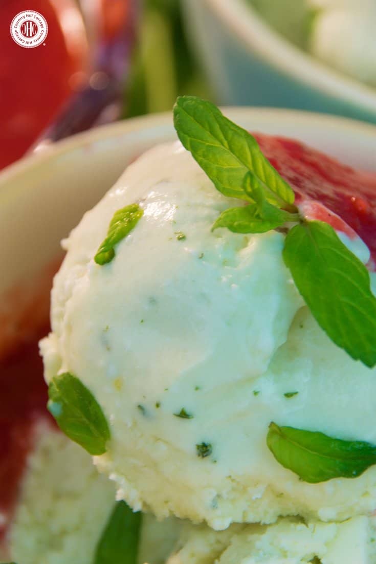 Enhance your dessert course with refreshing no-churn mint ice cream! Fresh mint leaves give this ice cream a rich minty aroma, and the best part is that you don't need an ice cream maker to prepare it. We love serving this ice cream with strawberry sauce and fresh mint leaves. #mint #nochurn #icecream | countryhillcottage.com