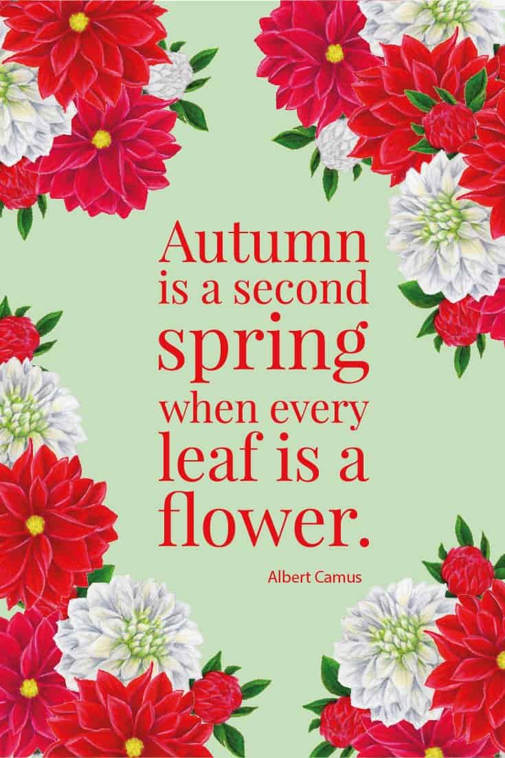 Inspirational Quote of Day: Autumn is a second spring when every leaf is a flower. - Albert Camus #inspirationalquote | countryhillcottage.com