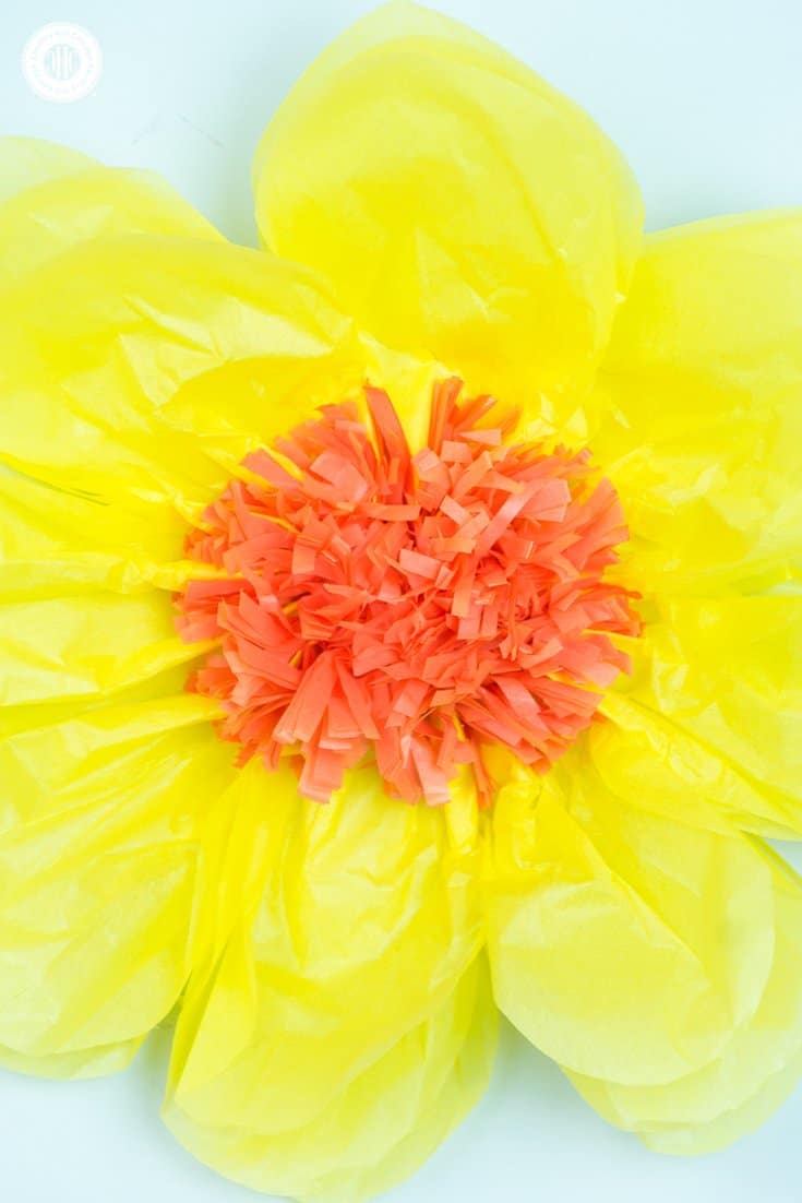Learn how to make giant tissue paper flowers! You can create the flowers in any colour of the rainbow and use them to decorate your home, build a flower wall or show them off at your next part! #diy #paperflowers #tissuepaper #paperroses | countryhillcottage.com Learn how to make giant tissue paper flowers! You can create the flowers in any colour of the rainbow and use them to decorate your home, build a flower wall or show them off at your next part! #diy #paperflowers #tissuepaper #paperroses | countryhillcottage.com