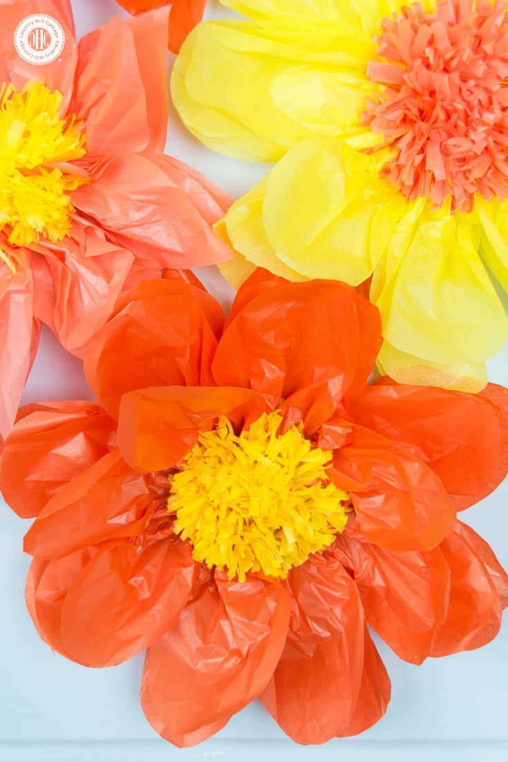 Learn how to make giant tissue paper flowers! You can create the flowers in any colour of the rainbow and use them to decorate your home, build a flower wall or show them off at your next part! #diy #paperflowers #tissuepaper #paperroses | countryhillcottage.com Learn how to make giant tissue paper flowers! You can create the flowers in any colour of the rainbow and use them to decorate your home, build a flower wall or show them off at your next part! #diy #paperflowers #tissuepaper #paperroses | countryhillcottage.com