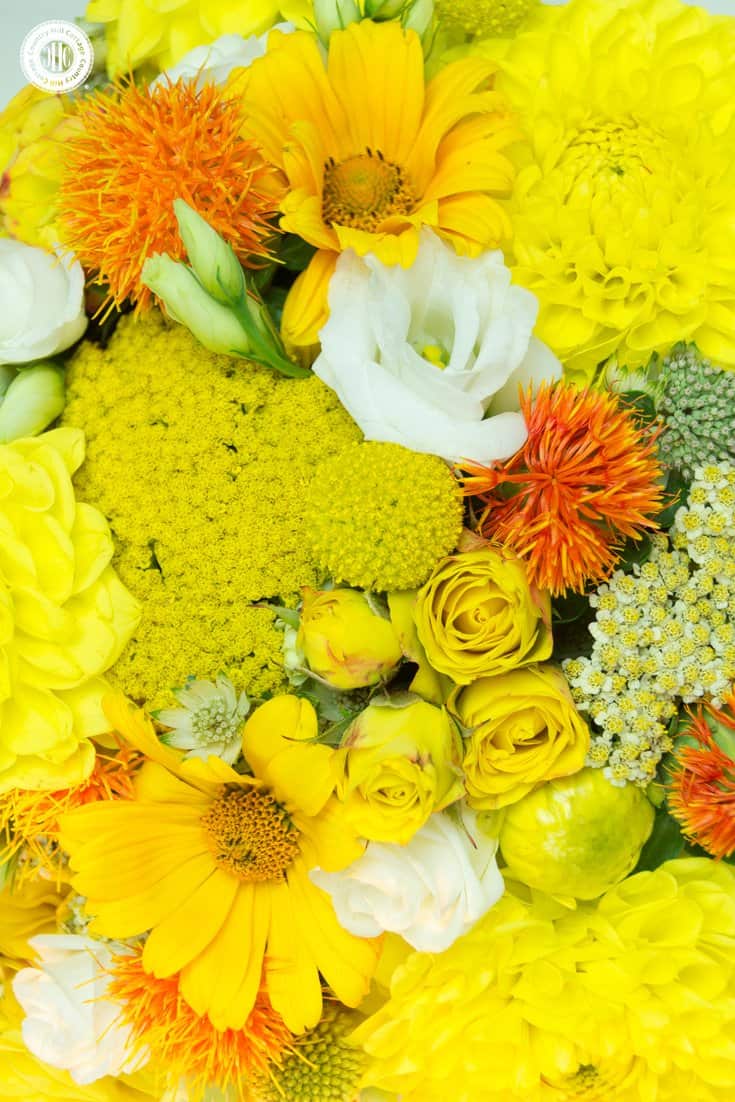 Learn to make a stunning yellow centrepiece with lemons! The focus of the arrangement is all about the texture of the different florals that include dahlias, lisianthus, yarrow flowers, safflowers and billy balls. #flowerarrangement #lemons #centerpiece | countryhillcottage.com