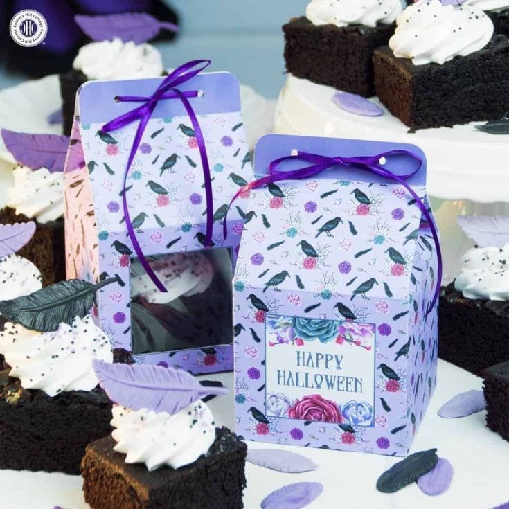 DIY cake box