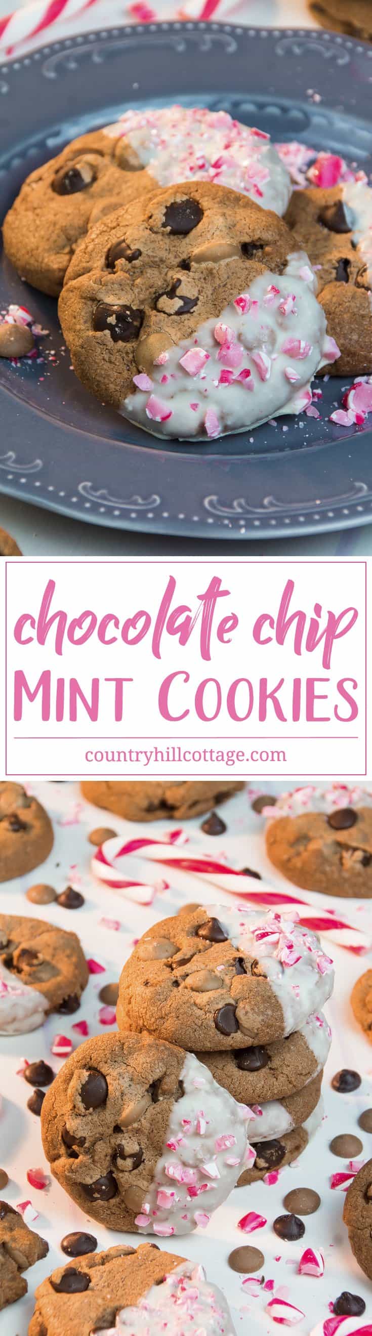 Our chocolate chip mint cookies are a scrumptious and festive treat that will make your holiday season complete. They’re made with cocoa plus semi-sweet chocolate chips plus milk chocolate chips plus mint extract and decorated whit white chocolate and crushed candy canes. These cookies are also an excellent holiday food gift… if you’re willing to share, that is! #chocolatechips #mint #cookie #recipe | countryhillcottage.com Our chocolate chip mint cookies are a scrumptious and festive treat that will make your holiday season complete. They’re made with cocoa plus semi-sweet chocolate chips plus milk chocolate chips plus mint extract and decorated whit white chocolate and crushed candy canes. These cookies are also an excellent holiday food gift… if you’re willing to share, that is! #chocolatechips #mint #cookie #recipe | countryhillcottage.com