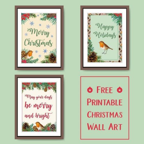 3 Christmas Cookies: Window Cookies, Jam-Filled Cookies, Swirl Cookies