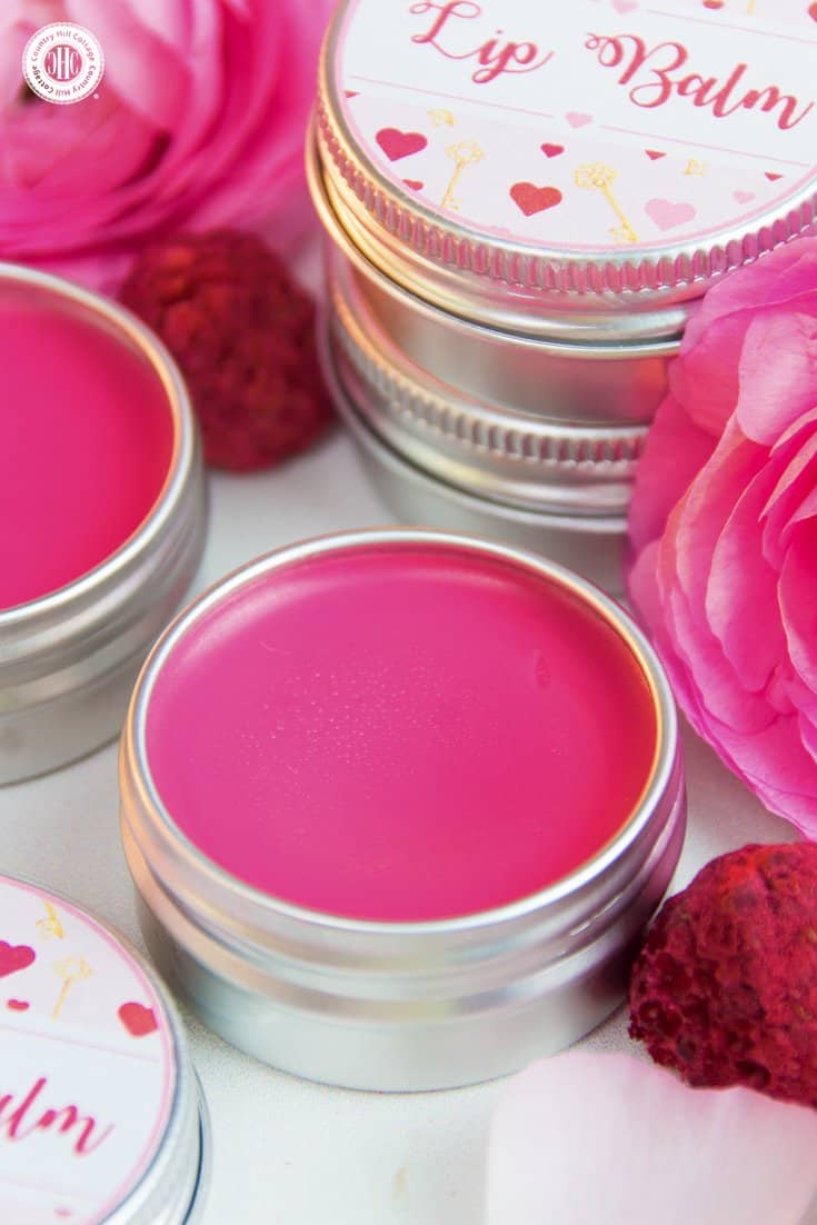 DIY Lip Duo: Lip Scrub and Lip Balm | Country Hill Cottage