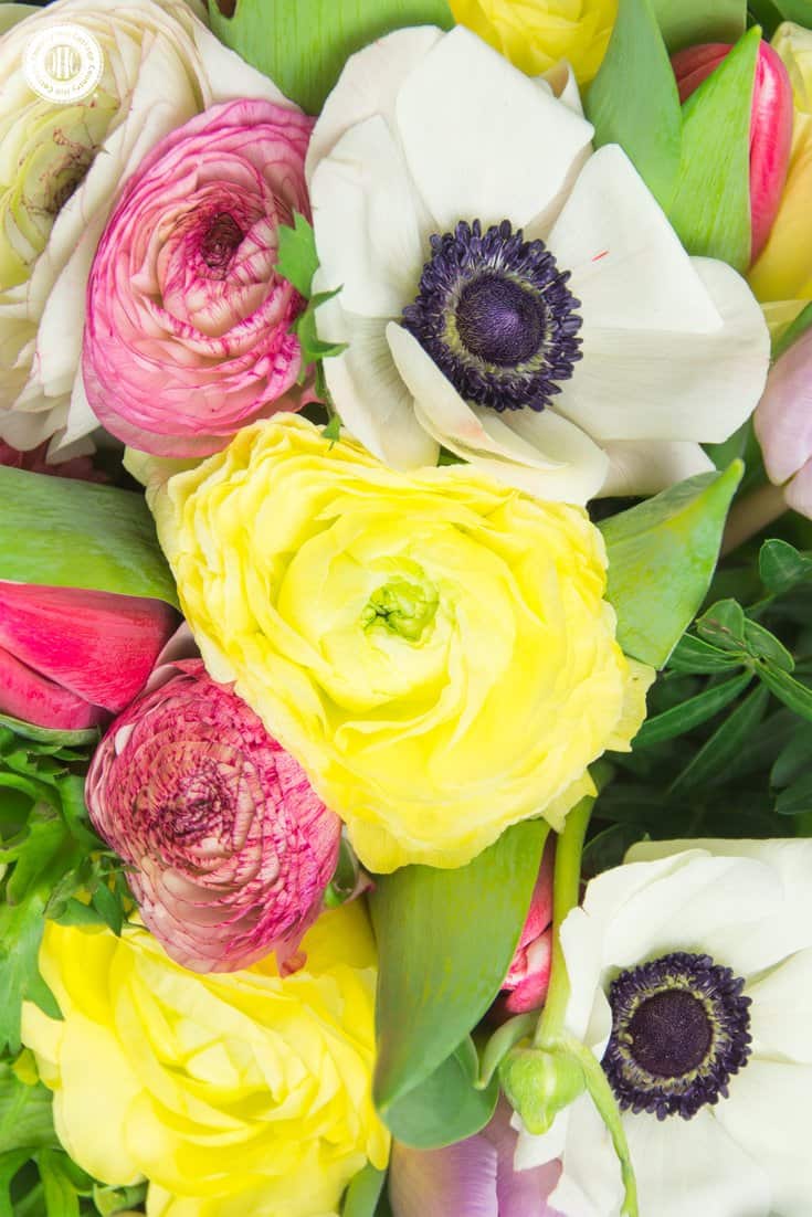Learn to make a pretty Valentine’s Day bouquet with yellow and pink ranunculus, French tulips, white anemones, and soft ruscus. The bouquet is a great accent for a party table and makes a lovely gift for your significant other or a friend. #ValentinesDay #bouquet #roses | countryhillcottage.com Learn to make a pretty Valentine’s Day bouquet with yellow and pink ranunculus, French tulips, white anemones, and soft ruscus. The bouquet is a great accent for a party table and makes a lovely gift for your significant other or a friend. #ValentinesDay #bouquet #roses | countryhillcottage.com