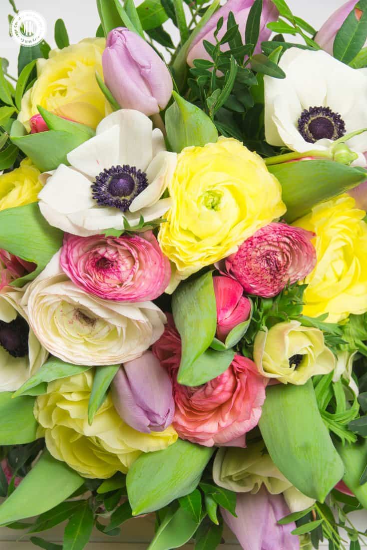 Learn to make a pretty Valentine’s Day bouquet with yellow and pink ranunculus, French tulips, white anemones, and soft ruscus. The bouquet is a great accent for a party table and makes a lovely gift for your significant other or a friend. #ValentinesDay #bouquet #roses | countryhillcottage.com Learn to make a pretty Valentine’s Day bouquet with yellow and pink ranunculus, French tulips, white anemones, and soft ruscus. The bouquet is a great accent for a party table and makes a lovely gift for your significant other or a friend. #ValentinesDay #bouquet #roses | countryhillcottage.com