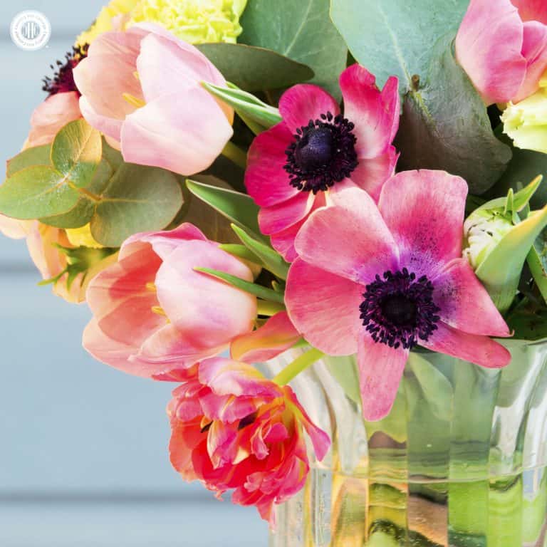 Bring on the spring blooms and create a fast and fresh spring bouquet with our seasonal favourites! The florals include French tulips, parrot tulips and anemones in pink and blush, which we paired with light green carnations and beautiful silver dollar eucalyptus. We used a tall vintage vase with a flared opening on a silver pedestal. #spring #bouquet #tulip #anemone #eucalyptus| countryhillcottage.com