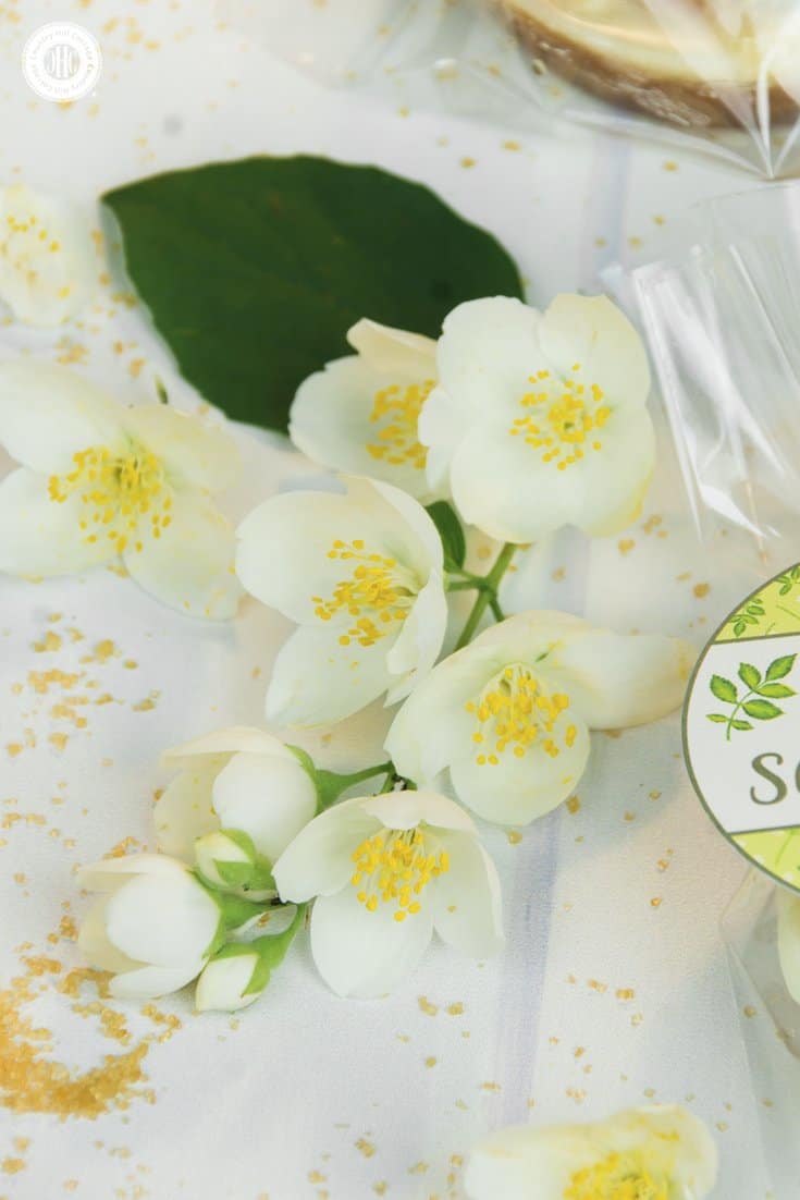 Say bye to rough, cracked feet with an all-natural foot scrub bar! This foot peeling is a real two-in-one treatment to care for dry, callous skin. The solid components of the bar exfoliate the feet and remove dead skins cells, while the oils and butter hydrate and replenish the natural lipids of your skin. This peeling bar is made with loofah sponge, cane sugar, cocoa butter, and bee or candelilla wax. #footpeeling #footscrub #scrubbar #essentialoils #beautyrecipe | countryhillcottage.com Say bye to rough, cracked feet with an all-natural foot scrub bar! This foot peeling is a real two-in-one treatment to care for dry, callous skin. The solid components of the bar exfoliate the feet and remove dead skins cells, while the oils and butter hydrate and replenish the natural lipids of your skin. This peeling bar is made with loofah sponge, cane sugar, cocoa butter, and bee or candelilla wax. #footpeeling #footscrub #scrubbar #essentialoils #beautyrecipe | countryhillcottage.com