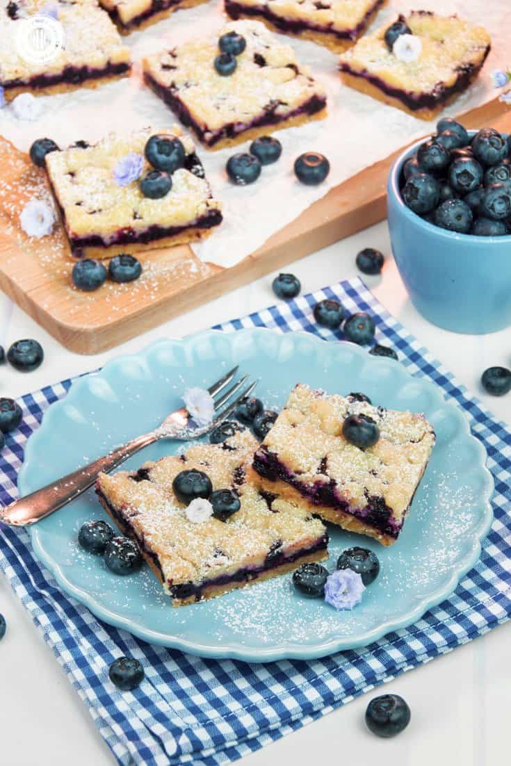 For a bite of pure bliss, sink your teeth into delicious blueberry streusel bars! Layers of crumbly streusel and sweet blueberry filling add up to a scrumptious bar cookie. The steps are incredibly simple, making it an easy-enough bake to get your kids involved. Instead of blueberries, you can also prepare the squares with frozen raspberries, blackberries, or quartered cherries. #blueberries #streusel #bars #bakingrecipe | countryhillcottage.com For a bite of pure bliss, sink your teeth into delicious blueberry streusel bars! Layers of crumbly streusel and sweet blueberry filling add up to a scrumptious bar cookie. The steps are incredibly simple, making it an easy-enough bake to get your kids involved. Instead of blueberries, you can also prepare the squares with frozen raspberries, blackberries, or quartered cherries. #blueberries #streusel #bars #bakingrecipe | countryhillcottage.com