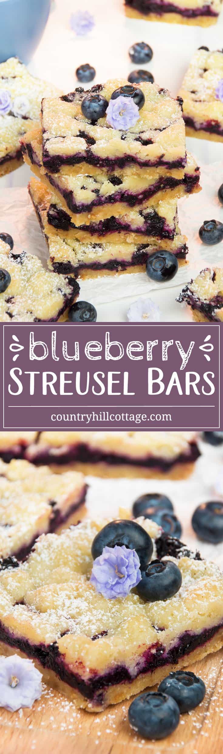For a bite of pure bliss, sink your teeth into delicious blueberry streusel bars! Layers of crumbly streusel and sweet blueberry filling add up to a scrumptious bar cookie. The steps are incredibly simple, making it an easy-enough bake to get your kids involved. Instead of blueberries, you can also prepare the squares with frozen raspberries, blackberries, or quartered cherries. #blueberries #streusel #bars #bakingrecipe | countryhillcottage.com For a bite of pure bliss, sink your teeth into delicious blueberry streusel bars! Layers of crumbly streusel and sweet blueberry filling add up to a scrumptious bar cookie. The steps are incredibly simple, making it an easy-enough bake to get your kids involved. Instead of blueberries, you can also prepare the squares with frozen raspberries, blackberries, or quartered cherries. #blueberries #streusel #bars #bakingrecipe | countryhillcottage.com