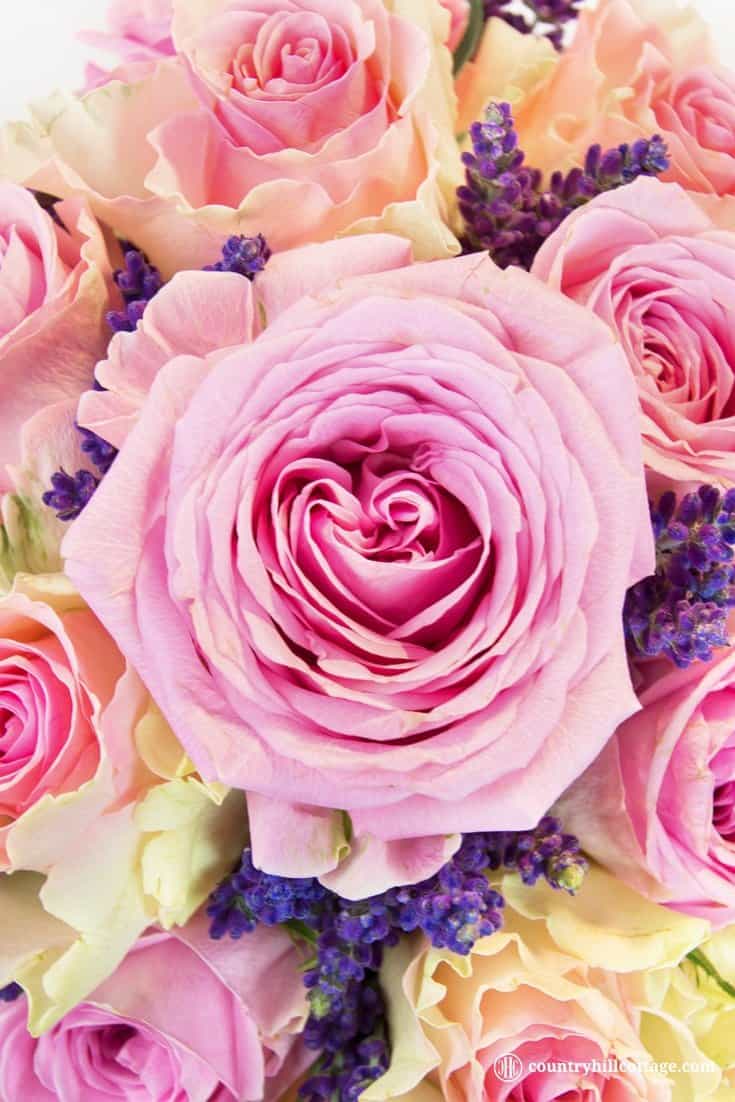 Heavenly scented roses and lavender are combined into a beautiful DIY rose lavender bouquet. The fragrance of lavender is warm and summery, and the tiny florets just look so darling. This homemade flower arrangement is a great little present for birthdays, to say thank you, wish a sweet one well, or a pretty hostess gift. This flower DIY comes with a coordinated free printable greeting card. #roses #lavender #bouquet #flowerarranging #giftgiving| countryhillcottage.com Heavenly scented roses and lavender are combined into a beautiful DIY rose lavender bouquet. The fragrance of lavender is warm and summery, and the tiny florets just look so darling. This homemade flower arrangement is a great little present for birthdays, to say thank you, wish a sweet one well, or a pretty hostess gift. This flower DIY comes with a coordinated free printable greeting card. #roses #lavender #bouquet #flowerarranging #giftgiving| countryhillcottage.com