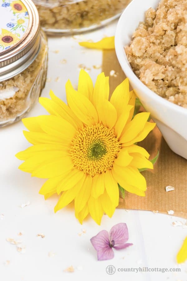 Our homemade hand scrub exfoliates dull skin and is made with oats, sugar, Manuka honey, wheat germ oil and essential oils. This gentle DIY exfoliant also moisturises the skin, chapped cuticles and nails. The scrub is suitable for all skin types and can be used to exfoliate other parts of the body, such as the neck and arms. The scrub also doubles as a revitalising hand mask and makes a great DIY beauty gift. #handscrub #scrub #essentialoils #skincare | countryhillcottage.com Our homemade hand scrub exfoliates dull skin and is made with oats, sugar, Manuka honey, wheat germ oil and essential oils. This gentle DIY exfoliant also moisturises the skin, chapped cuticles and nails. The scrub is suitable for all skin types and can be used to exfoliate other parts of the body, such as the neck and arms. The scrub also doubles as a revitalising hand mask and makes a great DIY beauty gift. #handscrub #scrub #essentialoils #skincare | countryhillcottage.com