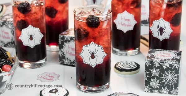 Fancy a drink? We dare you to take a sip from this Black Widow Lemonade, an icy drink made with blackberry sauce and pomegranate fruit infusion. This beautiful drink is really easy to make. Cook a delicious blackberry sauce and pomegranate fruit tea. Then layer both liquids with ample amounts of crushed ice in tall tumbler glasses, which creates a stunning ombré effect ranging from black to red. #Halloween #Halloweendrink #lemonade #blackberrylemonade | countryhillcottage.com Fancy a drink? We dare you to take a sip from this Black Widow Lemonade, an icy drink made with blackberry sauce and pomegranate fruit infusion. This beautiful drink is really easy to make. Cook a delicious blackberry sauce and pomegranate fruit tea. Then layer both liquids with ample amounts of crushed ice in tall tumbler glasses, which creates a stunning ombré effect ranging from black to red. #Halloween #Halloweendrink #lemonade #blackberrylemonade | countryhillcottage.com