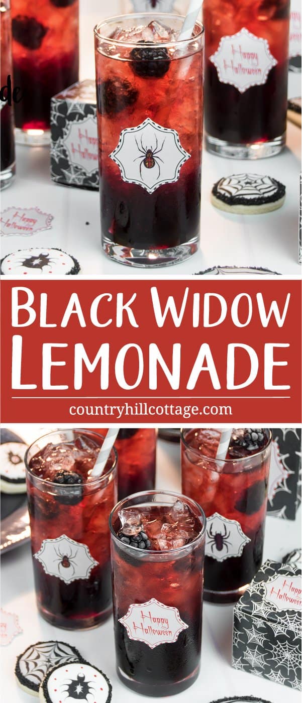 Fancy a drink? We dare you to take a sip from this Black Widow Lemonade, an icy drink made with blackberry sauce and pomegranate fruit infusion. This beautiful drink is really easy to make. Cook a delicious blackberry sauce and pomegranate fruit tea. Then layer both liquids with ample amounts of crushed ice in tall tumbler glasses, which creates a stunning ombré effect ranging from black to red. #Halloween #Halloweendrink #lemonade #blackberrylemonade | countryhillcottage.com Fancy a drink? We dare you to take a sip from this Black Widow Lemonade, an icy drink made with blackberry sauce and pomegranate fruit infusion. This beautiful drink is really easy to make. Cook a delicious blackberry sauce and pomegranate fruit tea. Then layer both liquids with ample amounts of crushed ice in tall tumbler glasses, which creates a stunning ombré effect ranging from black to red. #Halloween #Halloweendrink #lemonade #blackberrylemonade | countryhillcottage.com