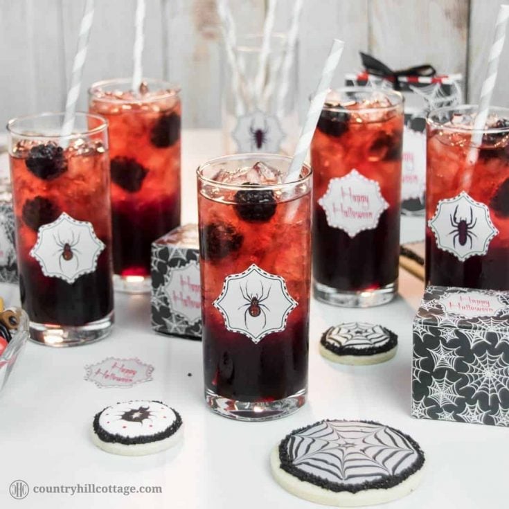Fancy a drink? We dare you to take a sip from this Black Widow Lemonade, an icy drink made with blackberry sauce and pomegranate fruit infusion. This beautiful drink is really easy to make. Cook a delicious blackberry sauce and pomegranate fruit tea. Then layer both liquids with ample amounts of crushed ice in tall tumbler glasses, which creates a stunning ombré effect ranging from black to red. #Halloween #Halloweendrink #lemonade #blackberrylemonade | countryhillcottage.com