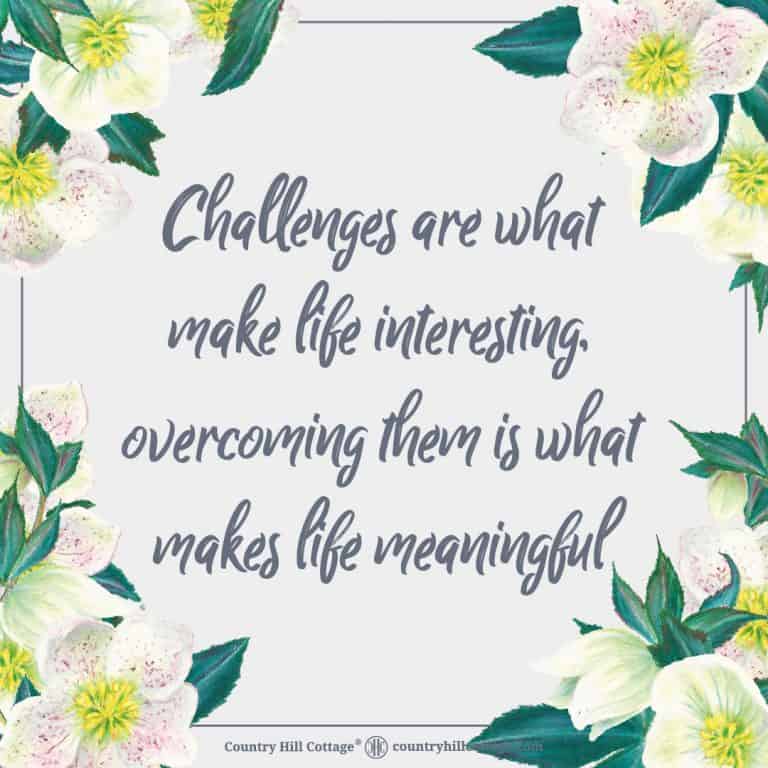 Challenges are what make life interesting, overcoming them is what makes life meaningful.