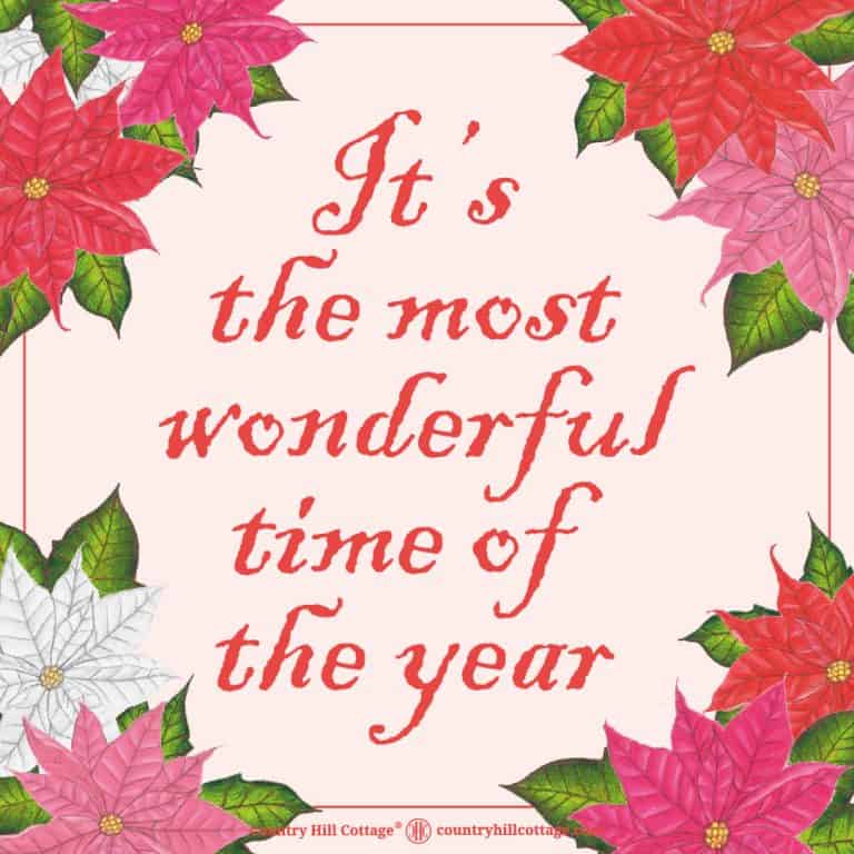 It’s the most wonderful time of the year. No matter what holiday you’re celebrating, this quote is perfect to share the festive spirit with your family and loved ones.