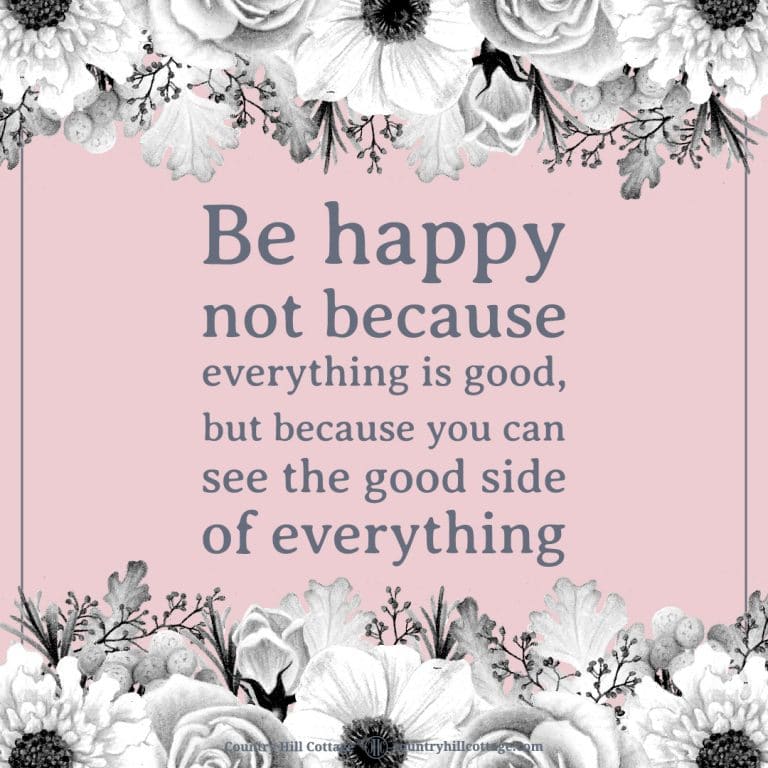 Be happy not because everything is good, but because you can see the good side of everything.