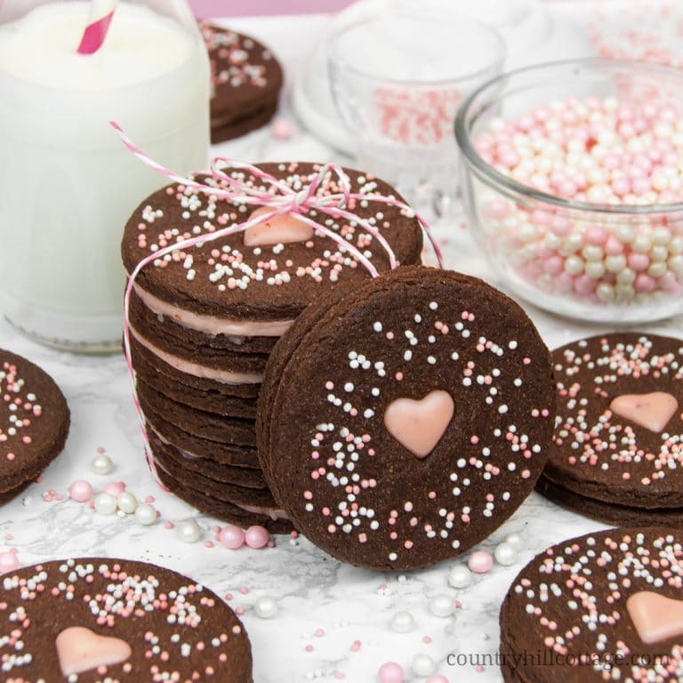 Chocolate cutout cookies with ganache filling