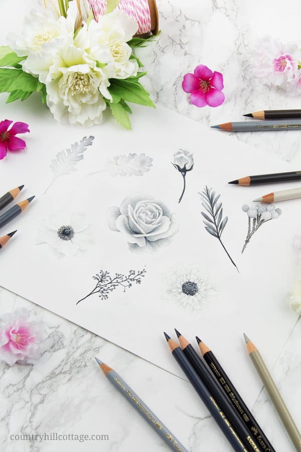 Drawing of black and white flowers