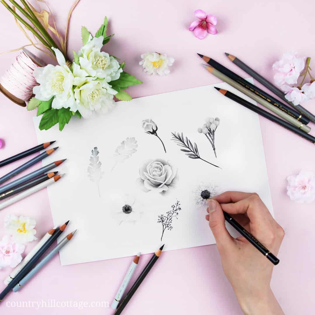 Our Chelsea Blooms print is based on a black and white drawing of roses, anemones and scabious flowers, eucalyptus berries, dusty miller leaves and silver brunia berries. Limiting the colour palette to white, blacks, and greys was very interesting and drives the attention to the details of design element and gives the design a fresh and botanical feel. #drawing #pencildrawing #flowerdrawing #flowers #florals | countryhillcottage.com Our Chelsea Blooms print is based on a black and white drawing of roses, anemones and scabious flowers, eucalyptus berries, dusty miller leaves and silver brunia berries. Limiting the colour palette to white, blacks, and greys was very interesting and drives the attention to the details of design element and gives the design a fresh and botanical feel. #drawing #pencildrawing #flowerdrawing #flowers #florals | countryhillcottage.com