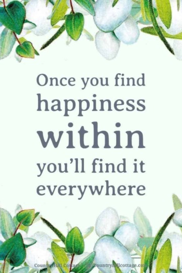 Once you find happiness within you’ll find it everywhere.