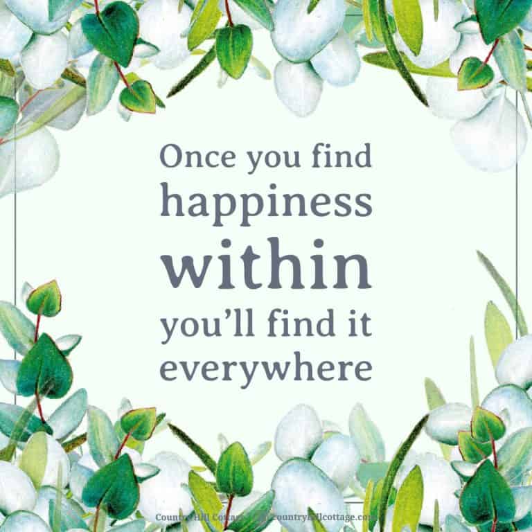 Once you find happiness within you’ll find it everywhere.