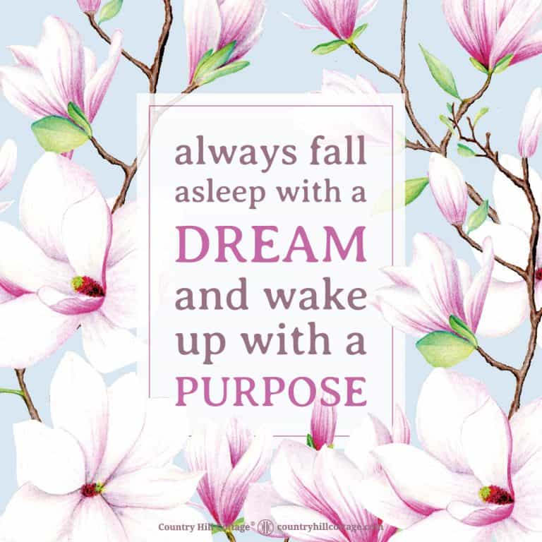 Positive Life Quote to stay motivated and keep a positive mindset: Always remember to fall asleep with a dream and wake up with a purpose. Tab the image to download the printable quote and decorate your home or office. #quote #positivity #inspiration #motivation #lifequote #dream #purpose | countryhillcottage.com