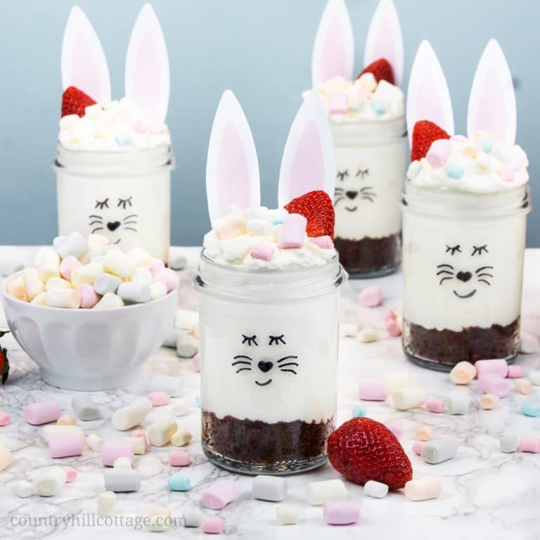 No-Bake Cheesecake Mousse Dessert