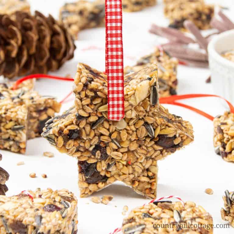 See how to make birdseed ornaments suitable for warm weather! DIY bird feeder ornaments are an easy craft idea for fall, winter, holiday season, Valentine’s and Mother’s Day. Homemade bird treats to feed garden birds in winter. This healthy bird food recipe is a great kid crafts idea and kids activity for school and kindergarten. Add a ribbon and gift tag and you have lovely handmade Christmas gift or wedding favour. No corn syrup #birdseedornament #birdfood #birdtreats | countryhillcottage.com