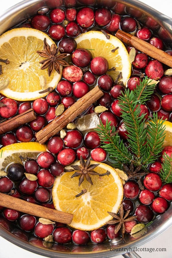 Easy Christmas Stovetop Potpourri - House of Nash Eats