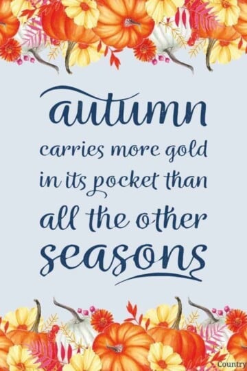 Autumn carries more gold in its pocket than all the other seasons. »»» Download free rustic fall printables inspired by autumn, vintage watercolor drawings and farmhouse style. The free printable quotes are great to frame and can be used as cute décor signs and wall art ideas for home, kitchen, bedrooms, bathrooms, for work, gallery walls, for planners or the classroom. 4x6 5x7 8x10 #quote #printablequote #printable #fall #falldecor #fallprintable #wallart | countryhillcottage.com