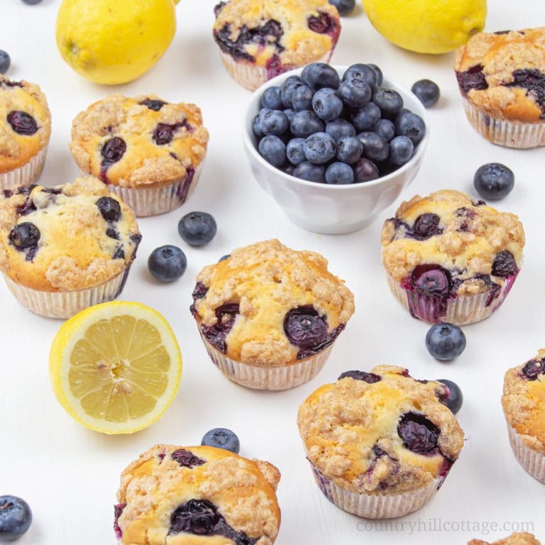 This vegan gluten-free, no sugar healthy lemon blueberry muffins recipe is so easy & quick. The moist simple homemade eggless bakery style muffins with streusel topping are made with oil and applesauce contain no wheat, no milk, no butter, and no egg. They’re nut-free, allergy-friendly & relatively low carb. The muffins are great in the mornings, and a yum treat for toddlers and kids, and perfect for clean eating. Can be frozen easily as make-ahead breakfast. #muffins | countryhillcottage.com