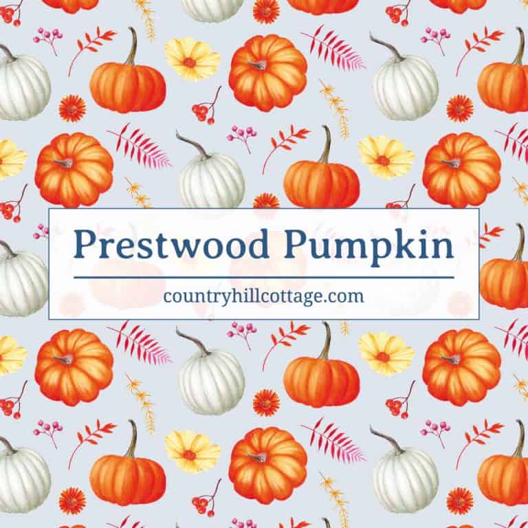 Our Prestwood pattern is a pretty autumn print with pumpkins, flowers and fall leaves that was inspired by a sunny September visit to a pumpkin patch. A beautiful Cinderella pumpkin, a quintessential fall motive, became the central part of the design, accompanied by a classic orange pumpkin and a pretty white pumpkin. Yellow cosmos, asters, stylized leaves and berries finesse the fall pattern. #floralpattern #surfacepattern #printdesign #Britishdesign | countryhillcottage.com