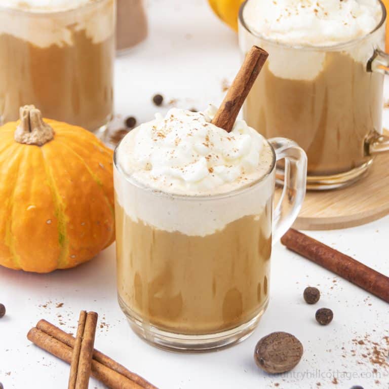 Vegan keto pumpkin spice latte recipe is creamy and oh-so-delicious! Learn how to make easy pumpkin spice latte at home in 5 minutes. This DIY healthy skinny low carb coffee drink tastes yummy hot and cold. You never guess this homemade vegan latte recipe is sugar free & dairy free. Includes options for paleo, iced, no coffee & without puree. Ketogenic no sugar latte is better than Starbucks! #pumpkinspicelatte #vegan #keto #ketodiet #dairyfree #veganlatte #latte #paleo | countryhillcottage.com