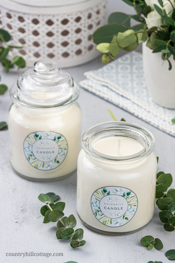 DIY Soy Candlemaking Kit for Teens & Tweens - Soap Deli News