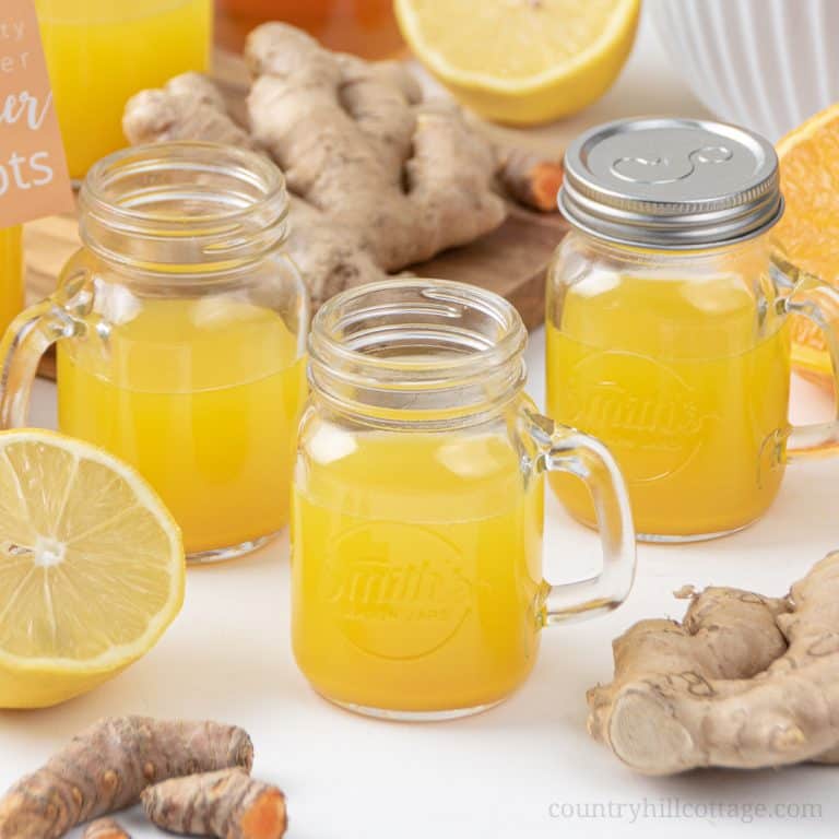 See how to make ginger shots that Selena Gomez would love! Packed with health benefits, the easy homemade immunity booster shots are good for your immune system, a cold, flu, hangover detox and weight loss! The vitamin-rich DIY juice shot recipe is made with ginger, turmeric, lemon, orange and honey to make the heathy drink kid-friendly. Can be made in a blender without juicer. Comes with labels for packaging in bottles. #gingershots #superfood #ginger #turmeric #lemon | countryhillcottage.com