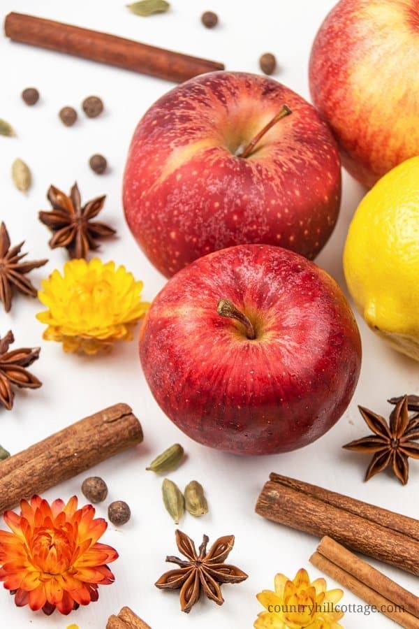 Materials for a DIY simmer pot recipe: apples, lemon and cinnamon sticks