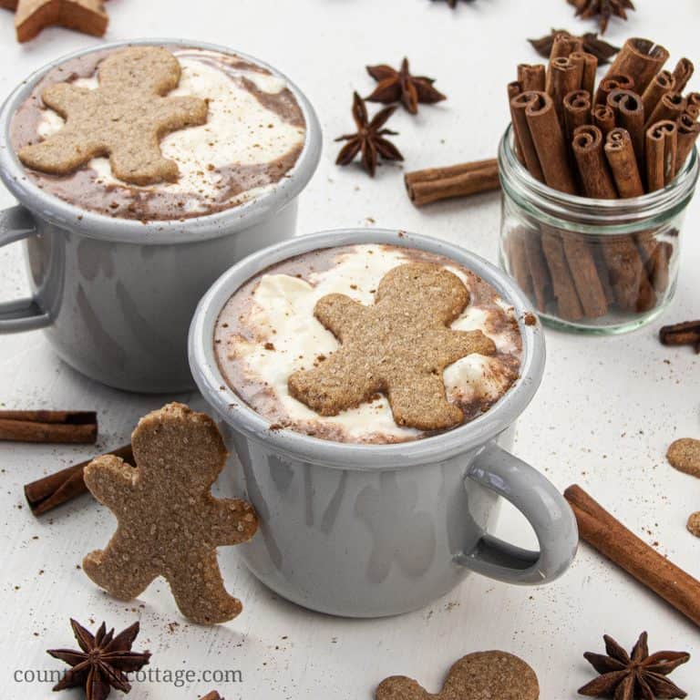 An easy Christmas hot chocolate recipe! Learn how to make gingerbread hot chocolate in just 5 minutes with 5 ingredients. This homemade hot chocolate recipe is vegan and includes options for paleo hot chocolate, keto hot chocolate, and DIY boozy spiked hot chocolate. Comes with instructions for the slow cooker and crock pot. Great for kids, tastes yum with marshmallows and coconut whipped cream toppings. #hot chocolate #hotcocoa #gingerbread #Christmashotchocolate | countryhillcottage.com
