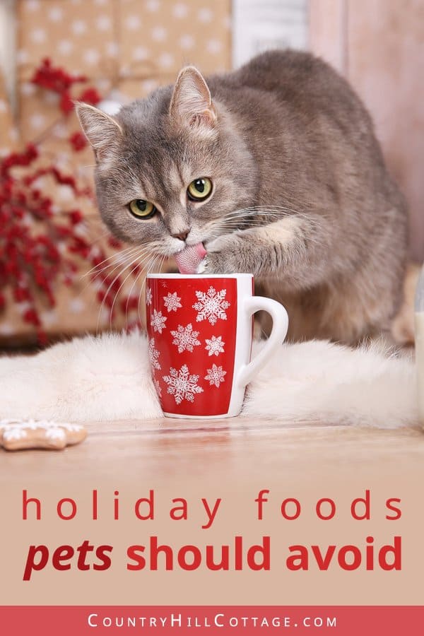 Toxic and harmful holiday food for pets - What holiday foods are dangerous for pets and should be avoided? The following foods can be harmful or even toxic for cats and dogs: Don’t feed leftovers like fatty foods (gravy, meat scraps) or real bones. Alcoholic drinks and treats containing chocolate, xylitol, caffeine, macadamia nuts, grapes, or raisins can be lead to vomiting, diarrhea, stomach pain, nausea or poisoning. #pets #pethealth #petsafety #holidays #Christmas | countryhillcottage.com